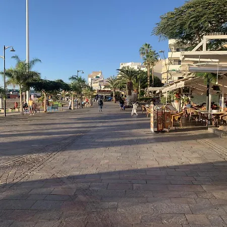 The Cristianos 아파트 *